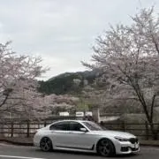 kohchan-530の画像
