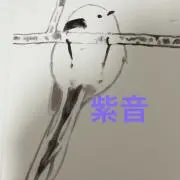 紫音@基本的に匿名発送の画像