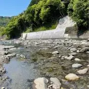 こどの画像