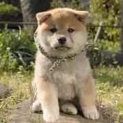 毎日saleプロフ必読よろしく