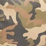 朱里