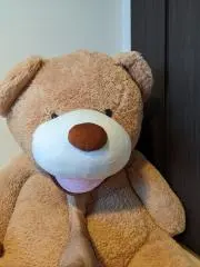 あきの画像