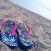 haaaru