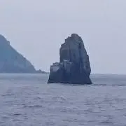 Shunc