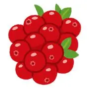 もたこん