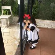 Fu-nyaの画像