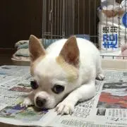 直角