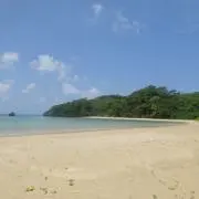 Komechan28の画像