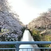 こう