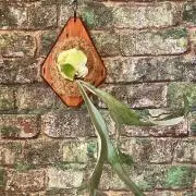 たっくの画像