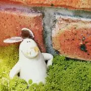 HafHaroの画像