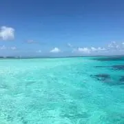 gmnutuyの画像