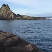 isocchi