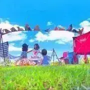 jasmineの画像