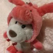 yokomignonの画像