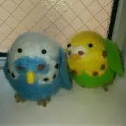 Ruriの画像