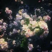 .*・゜の画像