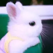 時雨。プロフ読んで購入お願いします