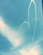 オレンジウサギの画像