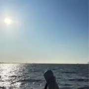 ringoの画像