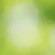 あんこの画像