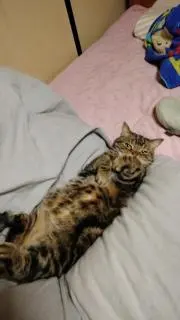 nori*の画像