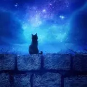 ミキスケ