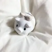 konomiの画像