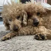 なりおの画像