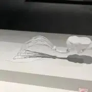 tigreの画像