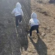りつポンの画像