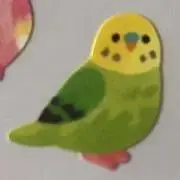 チャチャ丸の画像