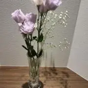 ピヨの画像