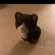 Eもも プロフィール必読の画像