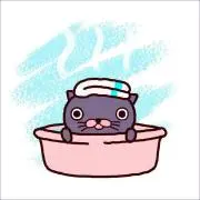 shin