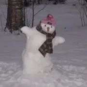 :/「0