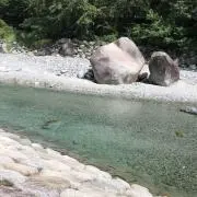 梨花の画像
