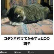 遠くで暮らしたい