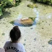 Kiraの画像