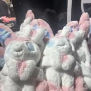 にゃん/•᷅‎‎•᷄\୭の画像