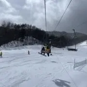 悠陽