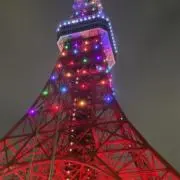 こーきの画像