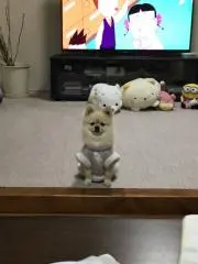 ヒロ