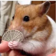 燃えカス