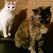 ＠テニスの画像