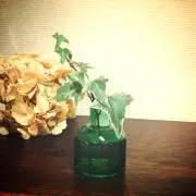 ここの画像