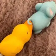 そーちゃんの画像