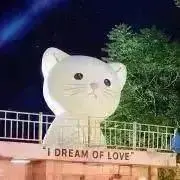 Yuの画像
