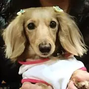 ペペ❣️