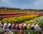 ちょこの画像